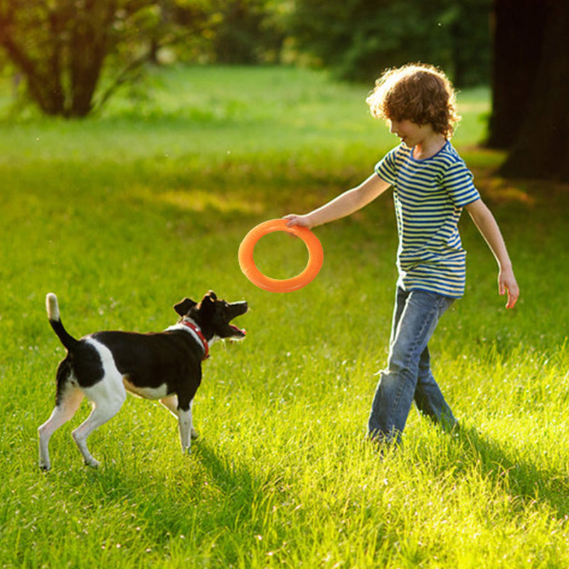 Pet Flying Discs Bite Ring Toy for Small Dog