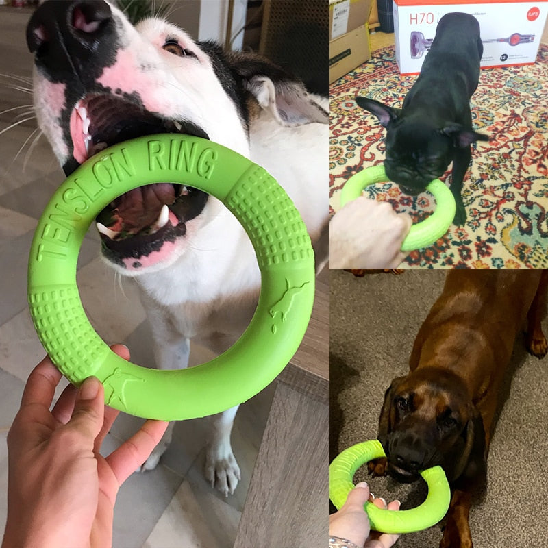 Pet Flying Discs Bite Ring Toy for Small Dog