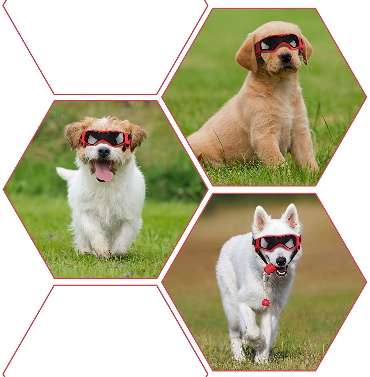 Dog UV Protection Goggles