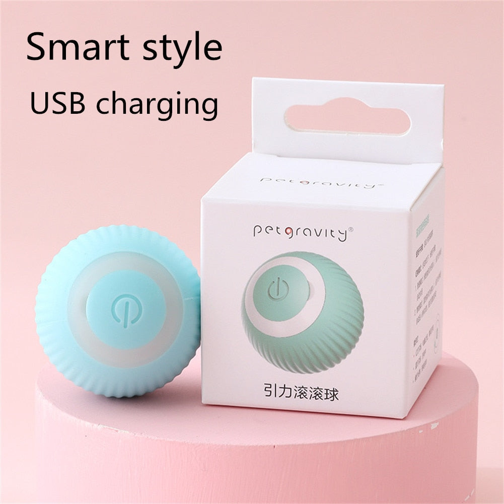 Smart Electric Dog Toy Catch Ball