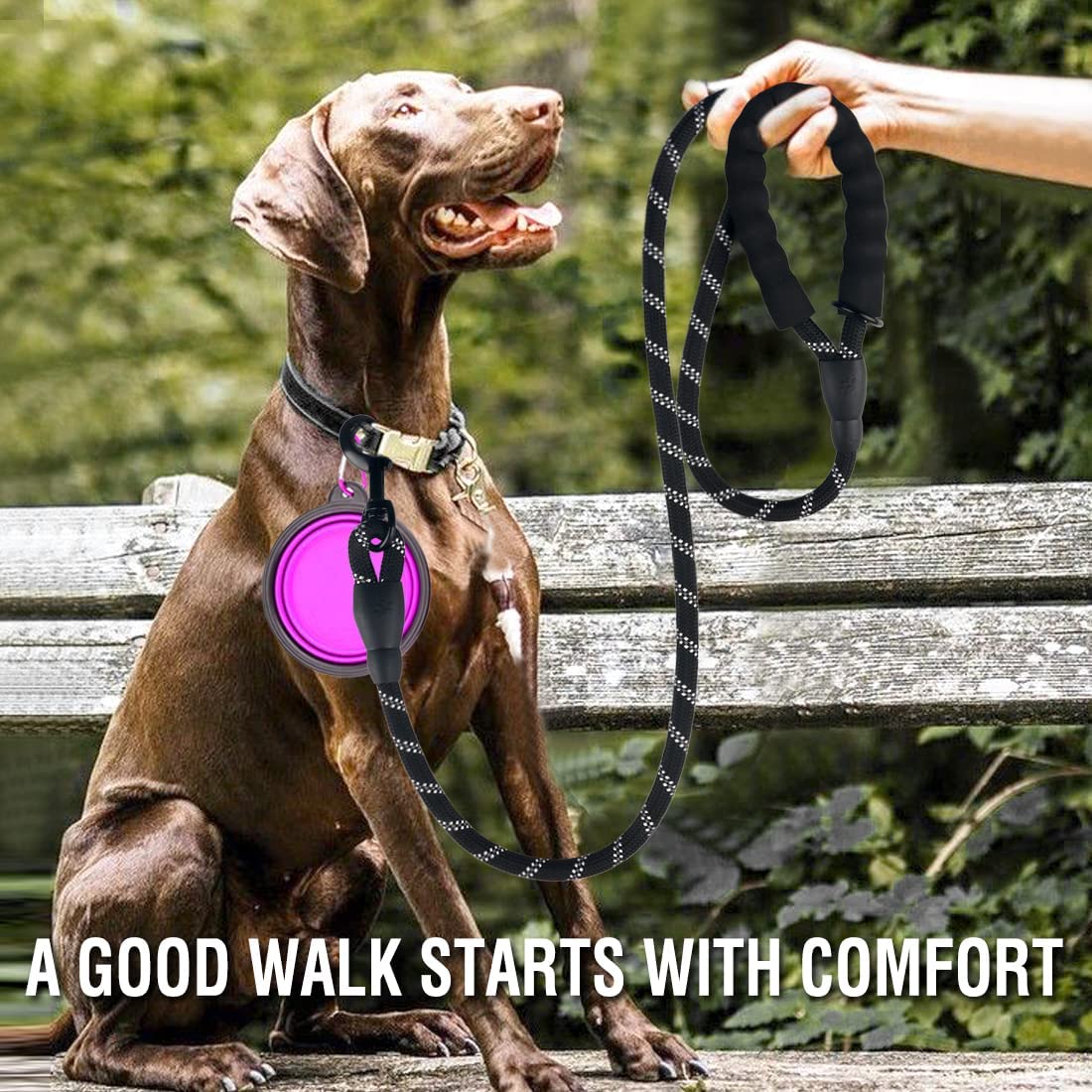 Reflective Leash For Big, Small, Medium Dog