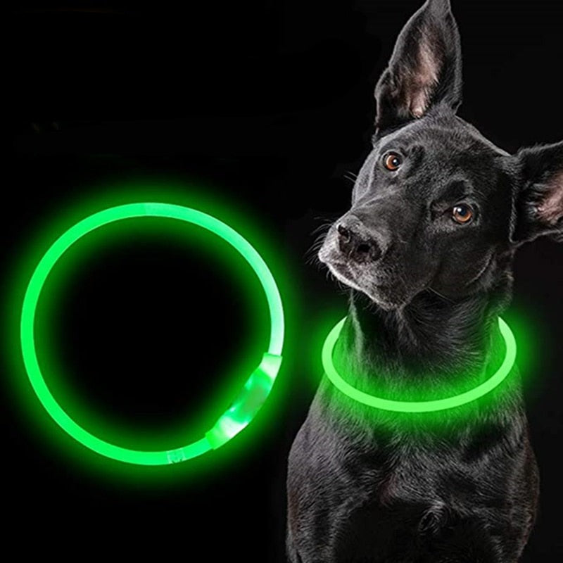 Dog Night Luminous Charge Collar