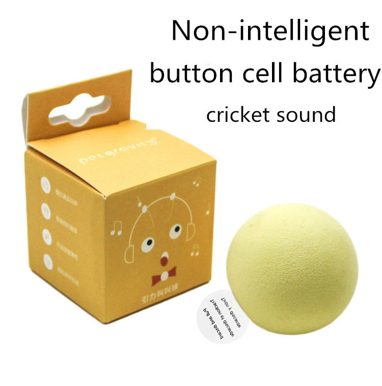 Smart Electric Dog Toy Catch Ball