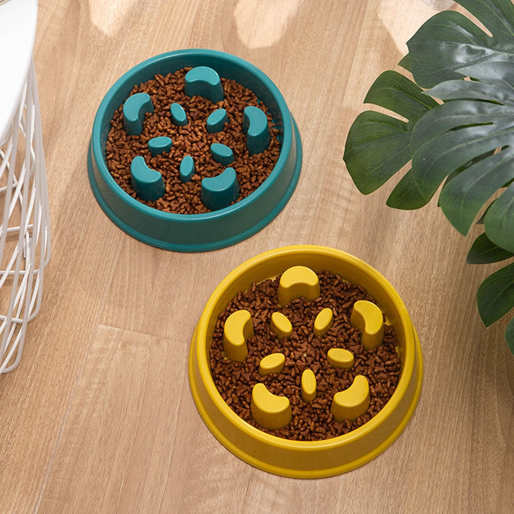 Pet Slow Food Bowl