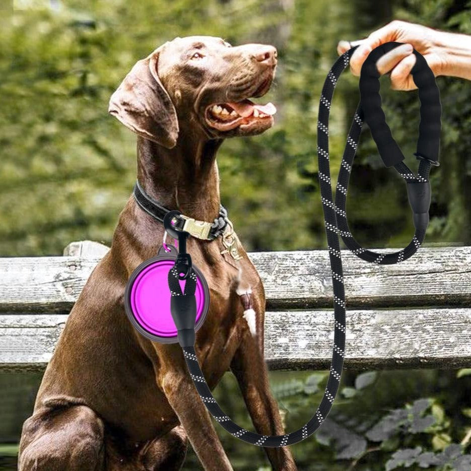 Reflective Leash For Big, Small, Medium Dog