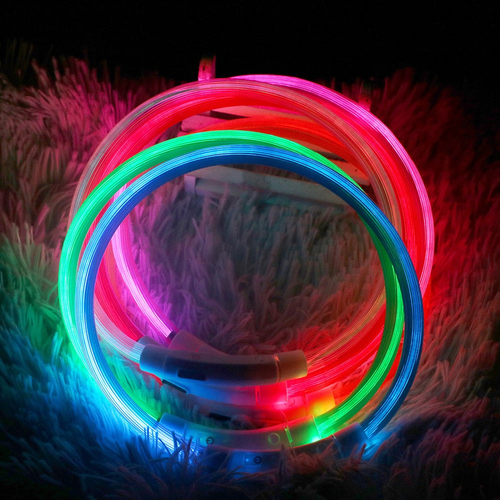 Dog Night Luminous Charge Collar