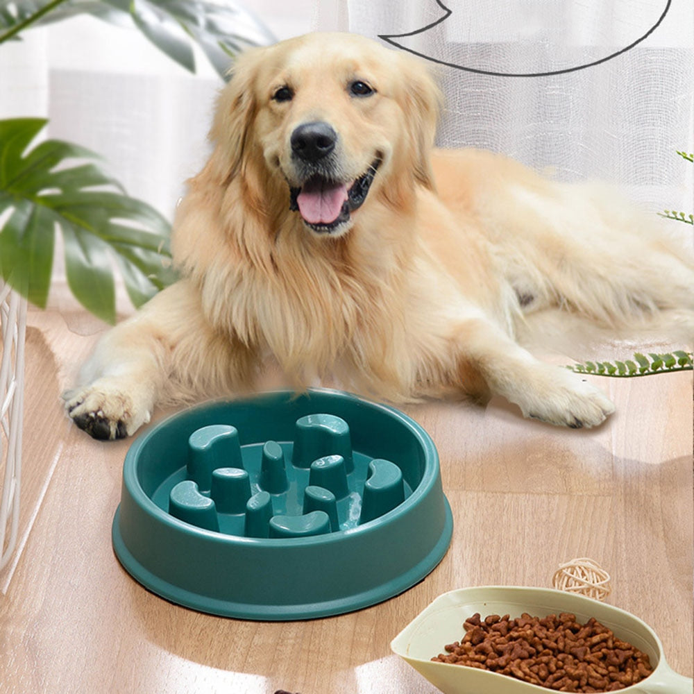 Pet Slow Food Bowl