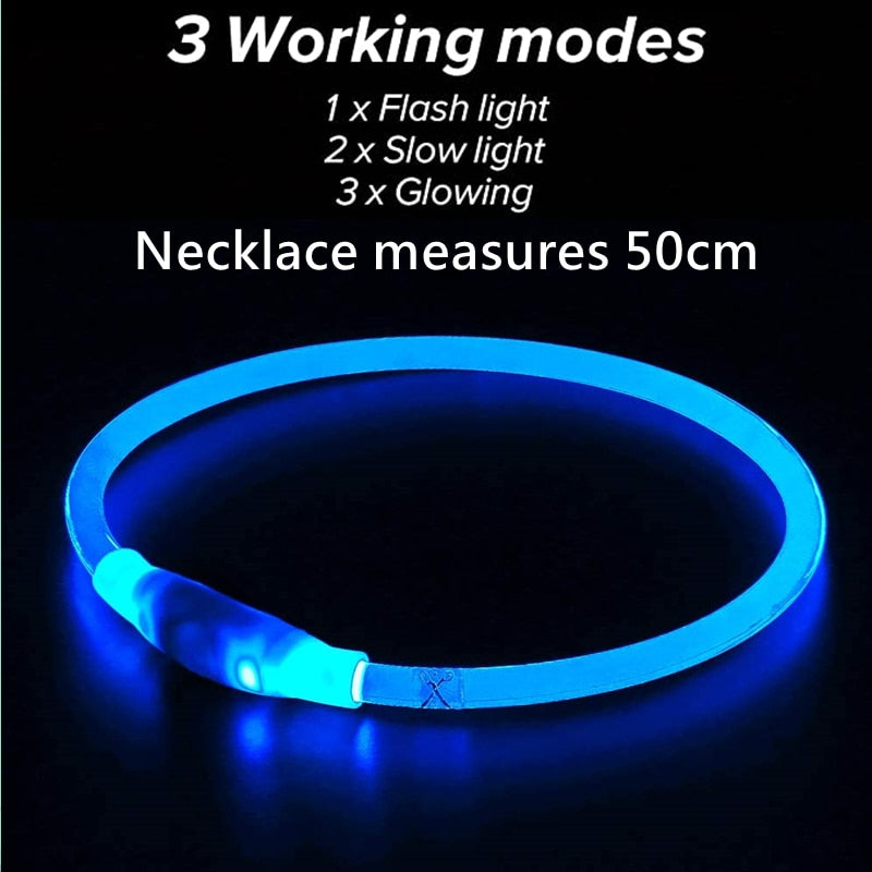 Dog Night Luminous Charge Collar