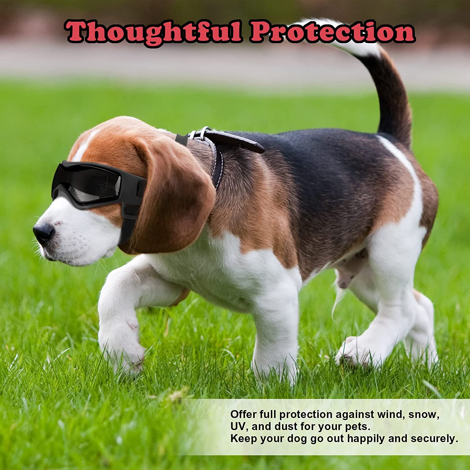 Dog UV Protection Goggles