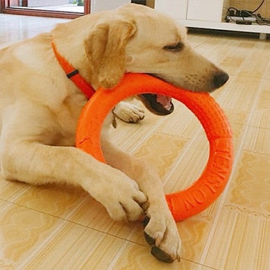 Pet Flying Discs Bite Ring Toy for Small Dog