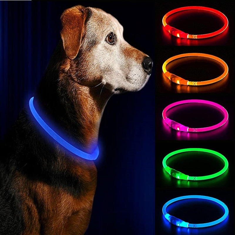 Dog Night Luminous Charge Collar